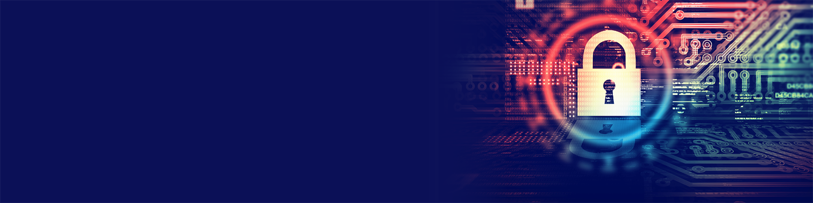 Cyber Liability banner