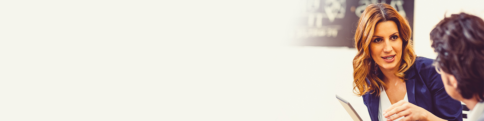 Other Constituents banner