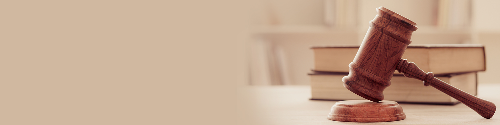 rofessional Liability Insurance banner